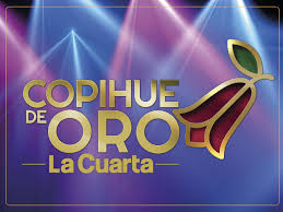 El copihue de oro es un premio creado por el periódico chileno la cuarta para reconocer a las figuras del mundo del entretenimiento y del espectáculo de dicho país. Copihue De Oro 2019 Conoce A Todos Los Nominados