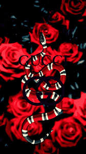 The application of gucci wallpaper art can easily create wallpapers and backgrounds for your device. Supreme Gucci Snake Wallpapers On Wallpaperdog