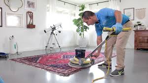 14 best carpet cleaning services