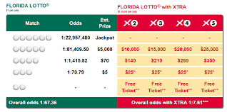 How To Play Florida Lotto Florida Lottery Numbers Lotto