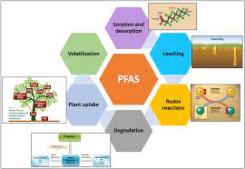 Environmental protection agency (epa) included perfluorooctane sulfonic acid (pfos). Remediation Of Poly And Perfluoroalkyl Substances Pfas Contaminated Soils To Mobilize Or To Immobilize Or To Degrade Sciencedirect