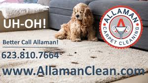 carpet tile cleaner allaman carpet cleaning
