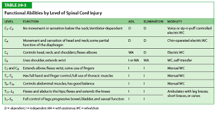 Table 39 3 Functional Abilities By Level Of Spinal Cord