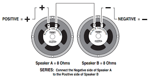 connect speakers or cabinets