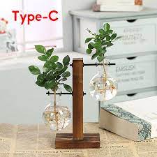 plant terrarium with wooden stand glass