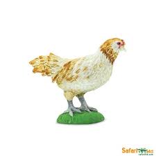Safaripedia Ameraucana Chicken