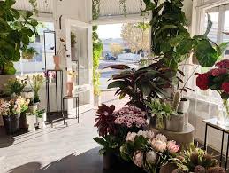 the best florists in perth perth is ok