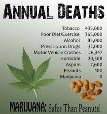 Pros And Cons Of Marijuana Legalization