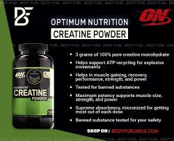 optimum nutrition micronized creatine