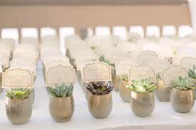 Mini Succulent Table Number Place Cards With Ivory And Gold