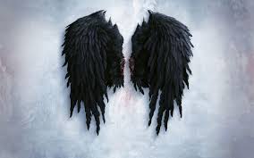 dark angel wings wallpapers top free