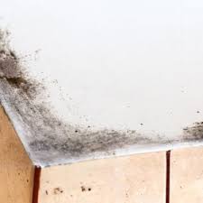 how to prevent mold in bathroom ceiling