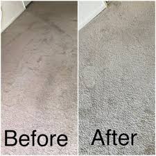 all in carpet cleaning 49 photos