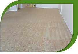 best carpet cleaning and restoration