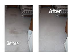 prestige carpet cleaning floor care