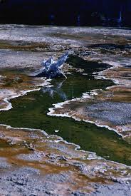 Результаты поиска для alger