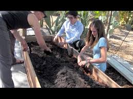 the best soil for a vegetable garden at