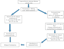 Figure 1 From Production Of Bioethanol Using Agricultural