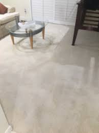 lewis carpet cleaners floor care inc