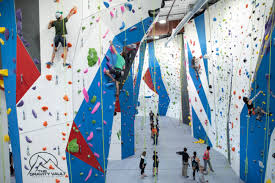 Gyms And Trends 2021 Climbing