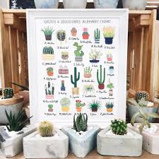 Lily Kao Design Cactus Succulents Alphabet Chart Little