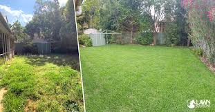 Thinking Of Replacing Your Lawn Follow