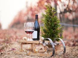 napa valley holiday gift guide the