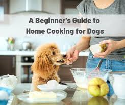 home cooking for dogs