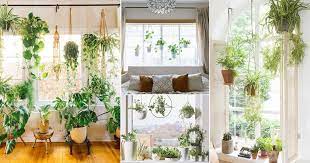 18 Indoor Plants Bedroom Window Garden