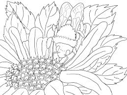 Free preschool coloring pages collections , all sets of coloring sheets activities for your kid. Scenery Coloring Pages For Adults Best Coloring Pages For Kids