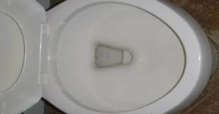 Toilet Not Clogged But Not Flushing