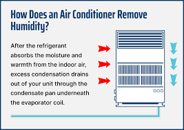 does my air conditioner remove humidity
