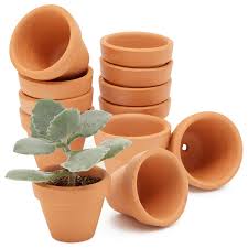 10 pack terracotta tiny clay pots