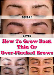 fix your thin eyebrows