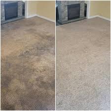 carpet cleaning extraction hardout sos