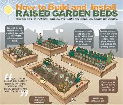 Building Your Own Raised Garden Beds