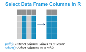 select data frame columns in r datanovia