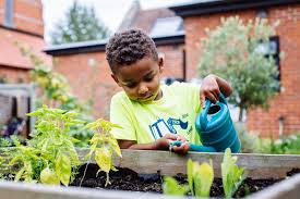 Rhs Gardening For Schools And Children