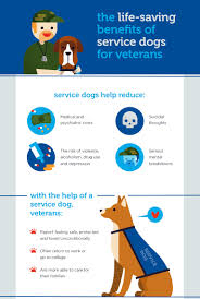 It's possible to train a dog for service certification without going through an organization, love and connection does exist in the world, and animals are a great resource to. Service Dogs Helping Those Who Served Our Country Petco