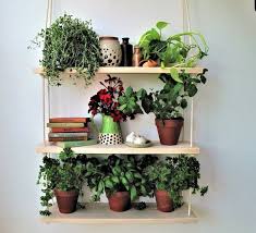 Hanging Shelf Plant Hangerkitchen Herb