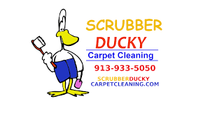 carpet cleaning in overland park