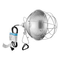 We collected up to 377 ads from hundreds of classified sites for you! Producer S Pride Brooder Lamp 6 Ft Cord Tsc L17 2717a At Tractor Supply Co