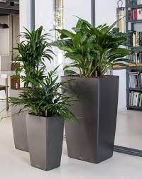 Tall Planters Garden Plants Design