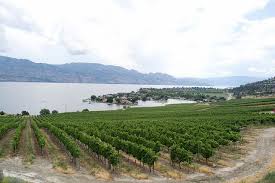 Maybe you would like to learn more about one of these? West Kelowna Wineries A Self Guided Winery Tour Winery Tours British Columbia Beer Tours
