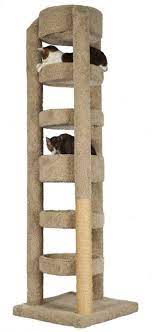 cat trees for large cats visualhunt