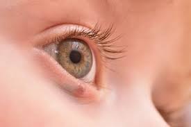 eyelid cancer signs causes and treatment