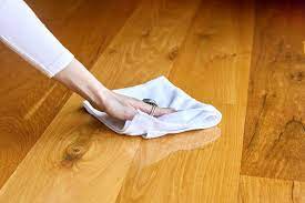 cat urine odor out of wood floors