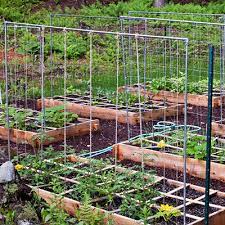 Square Foot Gardening Offers Foolproof