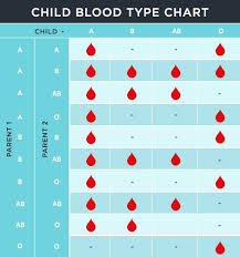 Child Blood Type Calculator Blood Type Chart Blood Groups