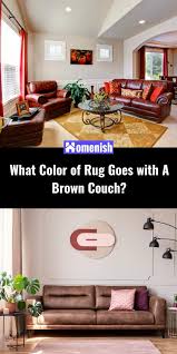 rug goes with a brown couch
